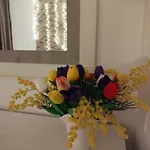 La Casa De La Mimosa * Córdova