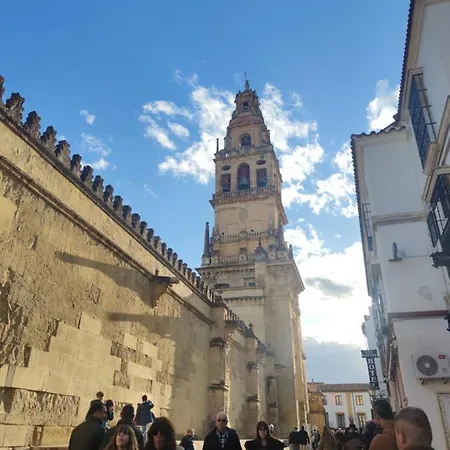 La Casa De La Mimosa *