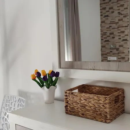 La Casa De La Mimosa *