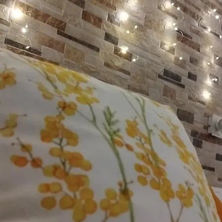 La Casa De La Mimosa