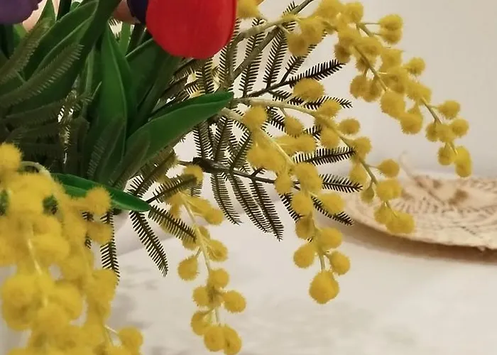 La Casa De La Mimosa * Córdova