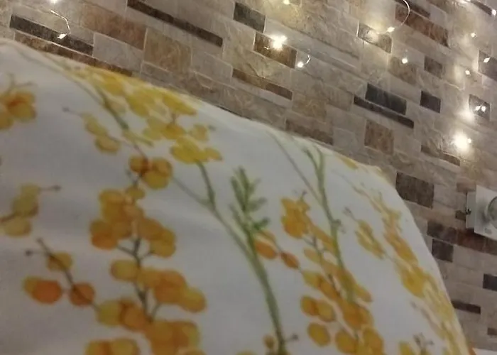 La Casa De La Mimosa