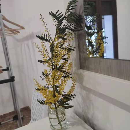 La Casa De La Mimosa アパート