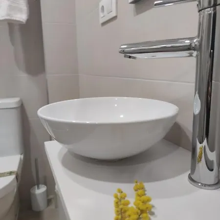 La Casa De La Mimosa *