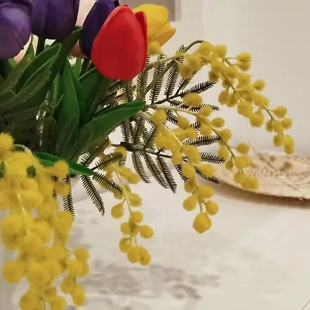 La Casa De La Mimosa * コルドバ