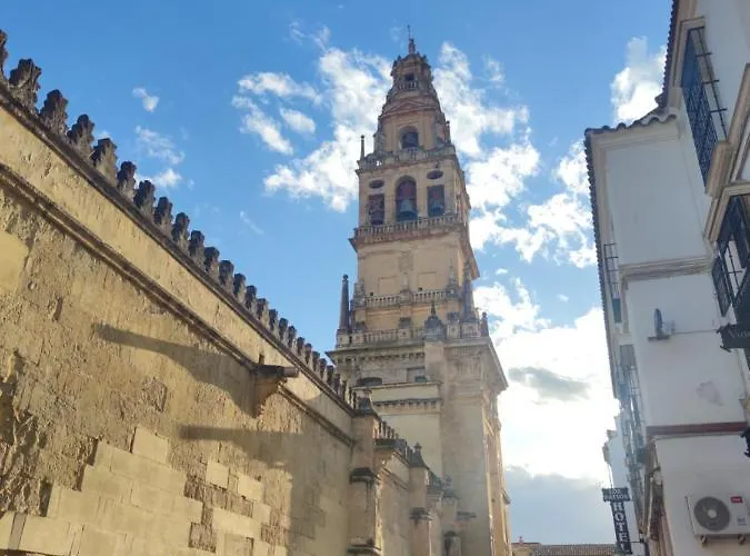 La Casa De La Mimosa *