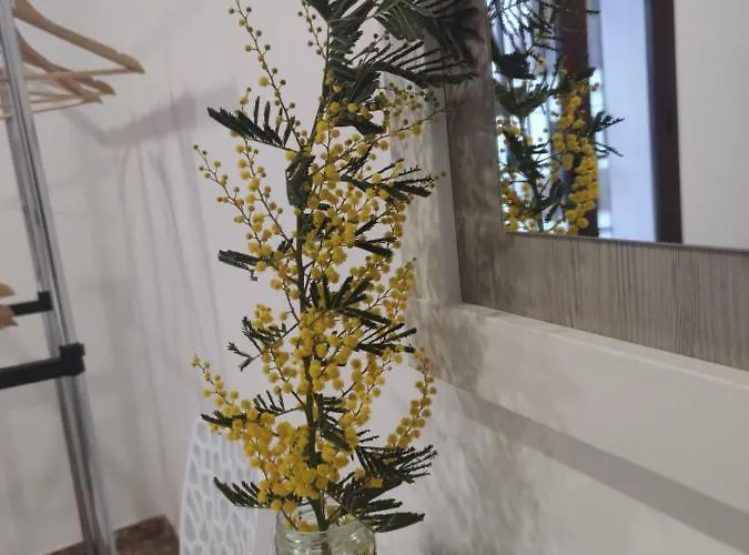 La Casa De La Mimosa דירה