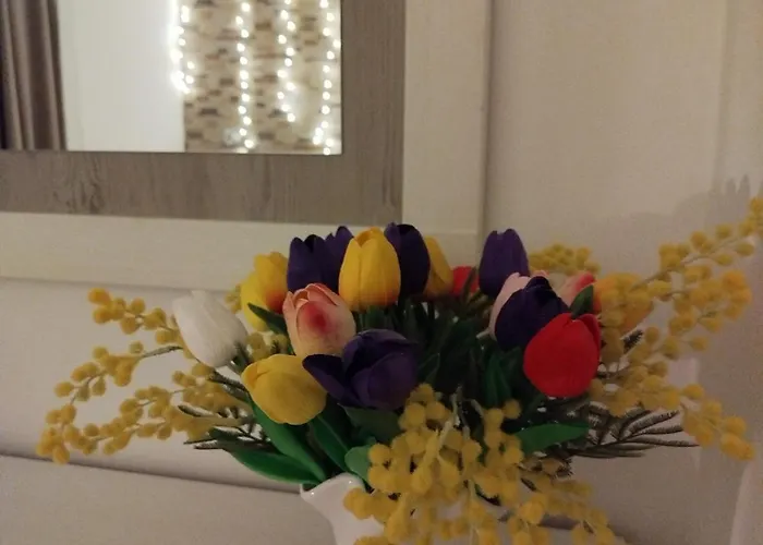 La Casa De La Mimosa * קורדובה