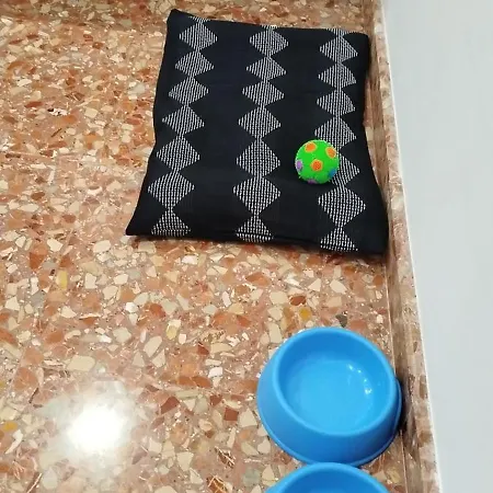 La Casa De La Mimosa Daire *